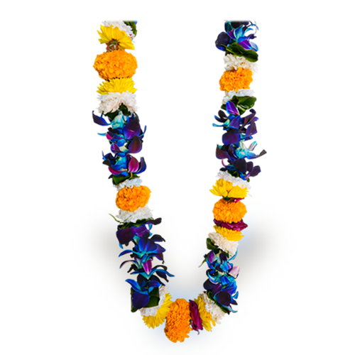 Orchid Garland